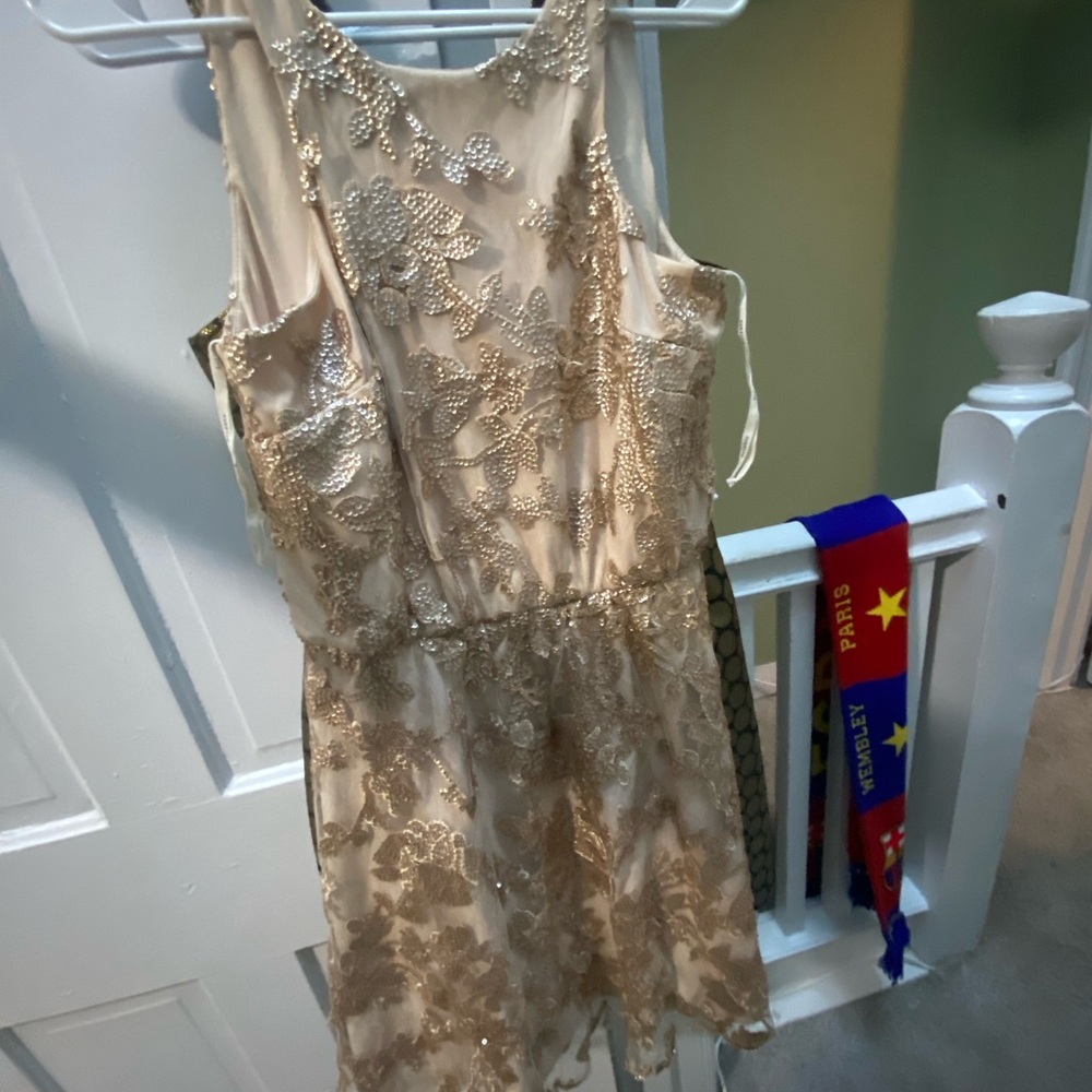 Soieblu Gold Floral Lace Mini Dress